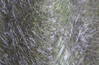 Milton Combe fibreglass roof work